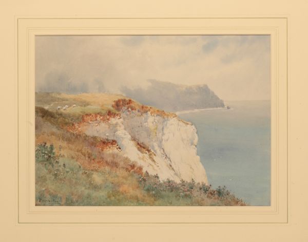 ELLIOT HENRY/HAIGH MARTEN (FL. 1886-1910) 'A Dorset Coastline'
