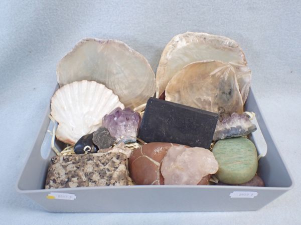 A COLLECTION OF SHELL AND MINERAL SPECIMENS