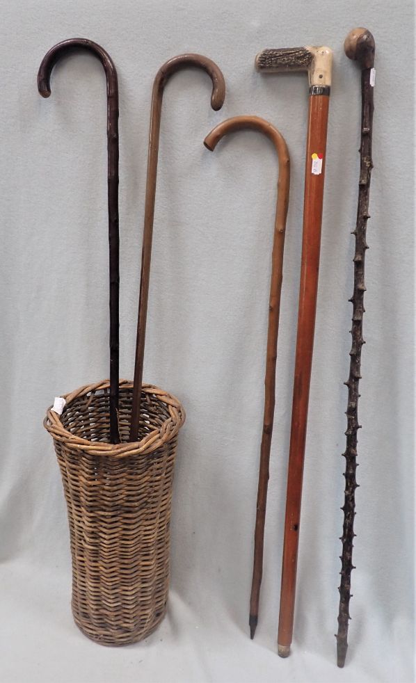 A WALKING STICK WITH UNSCREWABLE HORN HANDLE