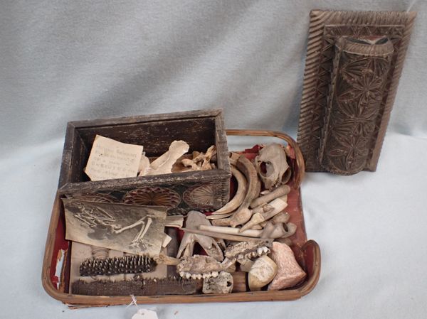 A 19TH CENTURY GOTHIC STYLE CASKET CONTAINING BONES