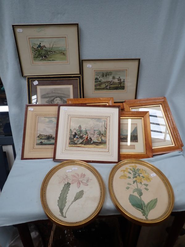 A PAIR OF 19TH CENTURY BOTANICAL PRINTS IN GILT FRAMES