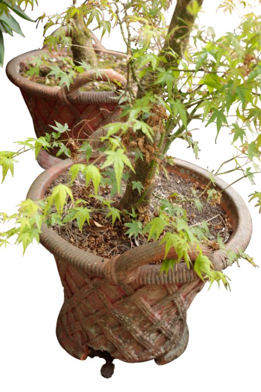 A PAIR OF TERRACOTTA GARDEN POTS