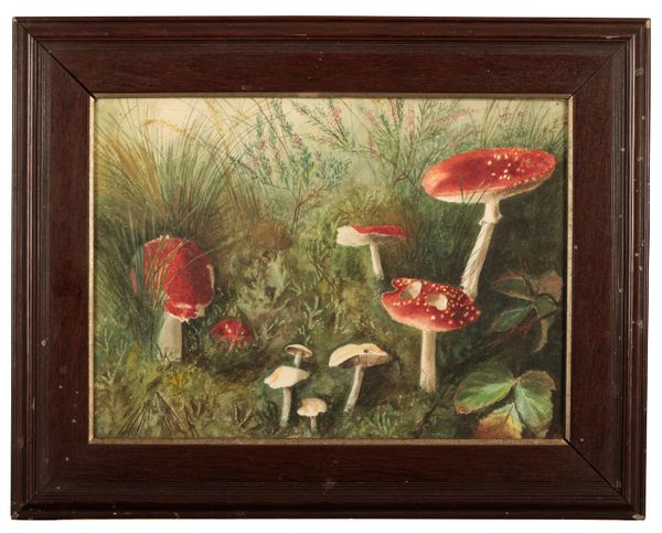 MANNER OF ARCHIBALD THORBURN (1860-1935) A study of toadstools