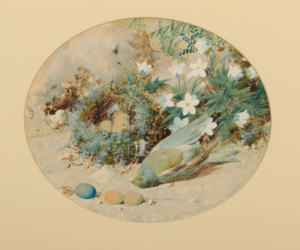 WILLIAM CRUICKSHANK (1848-1922) A pair of still life studies of dead birds beside nests and flowers