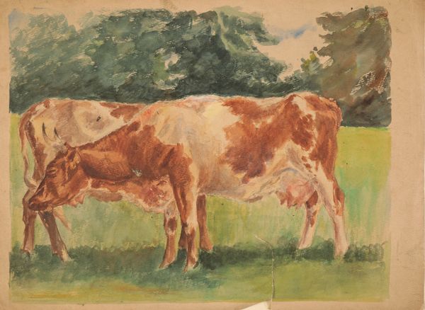 MANNER OF MARGARET FISHER PROUT (1875–1963) Three unframed watercolour studies of cattle