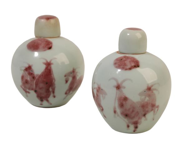 A PAIR OF CHINESE PORCELAIN FLASKS