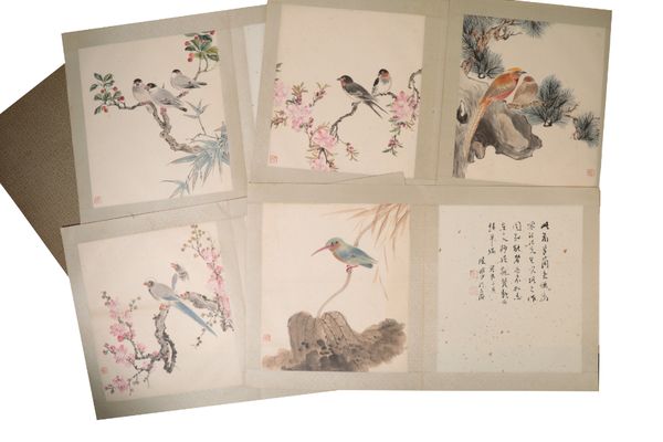 AN ALBUM OF CHINESE ORNITHOLOGICAL STUDIES