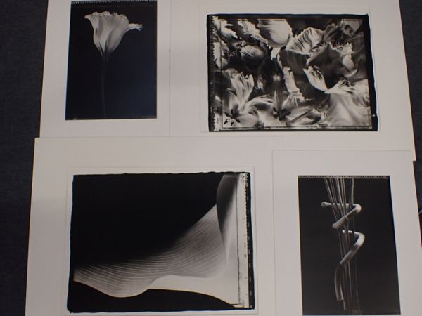 SEAMUS RYAN, (B.1964):  FOUR PHOTOGRAPHS