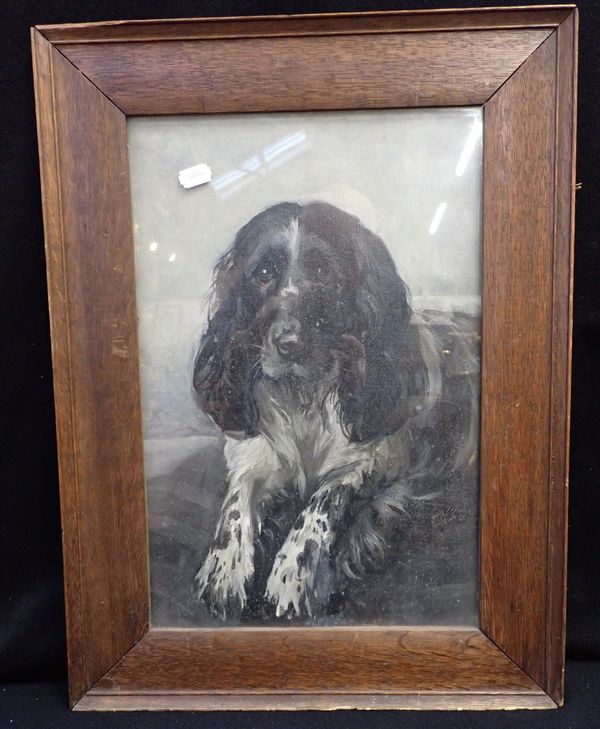 A PORTRAIT OF A SPANIEL