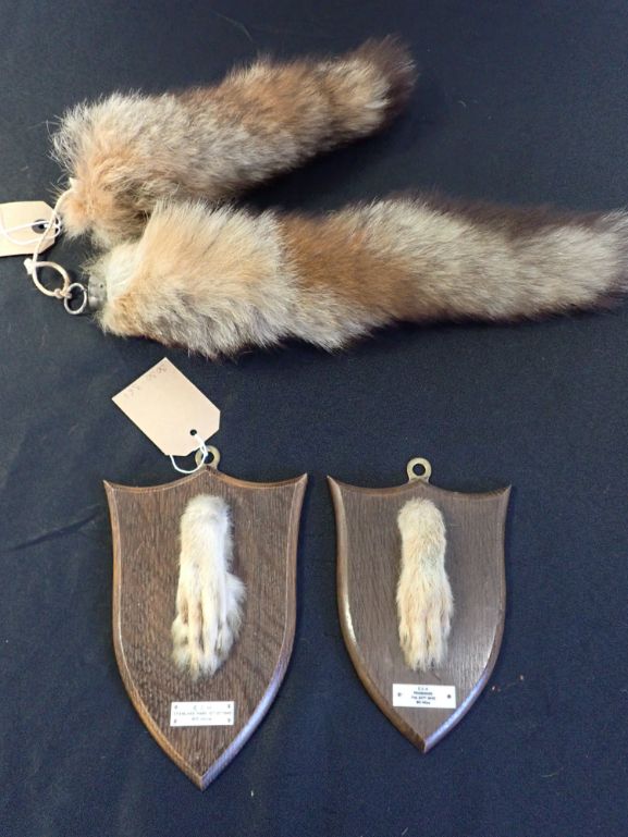 TWO MOUNTED FOX PAWS BY R. SPICER & SONS