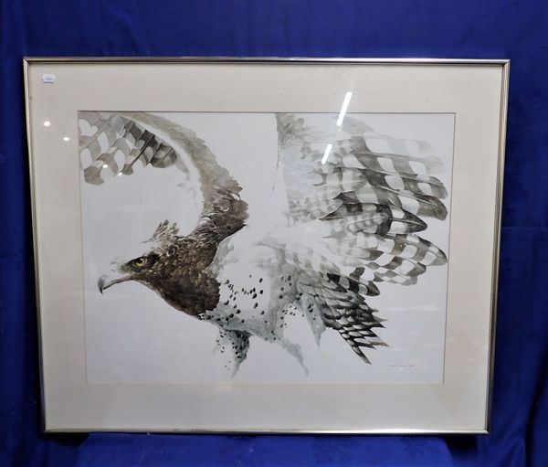 LEIGH VOIGT, MARTIAL EAGLE