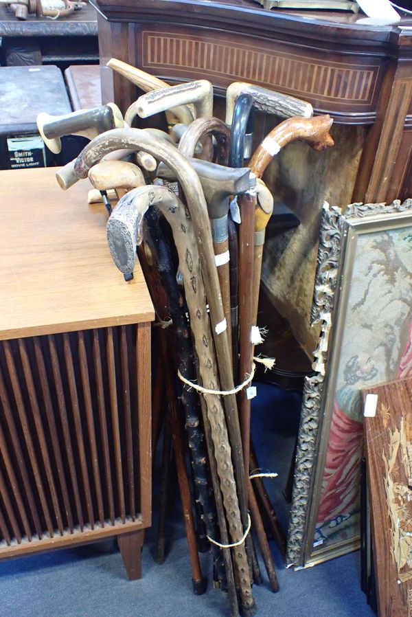 A COLLECTION OF SILVER COLLARED AND BONE HANDLED WALKING STICKS