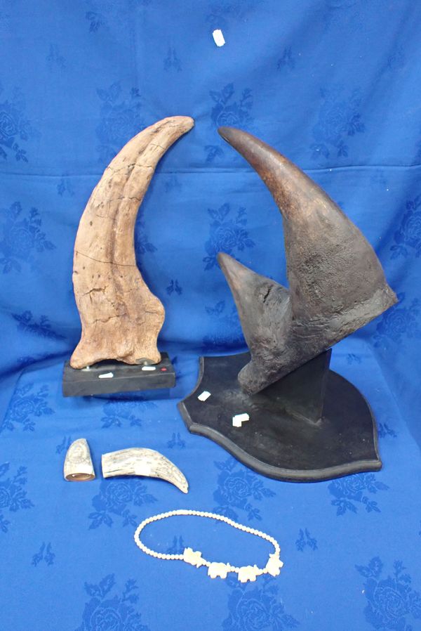 A REPLICA RHINO HORN