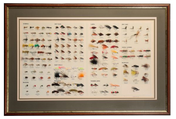 GRAHAM TROUT FLIES LTD: A TROUT FLY DISPLAY