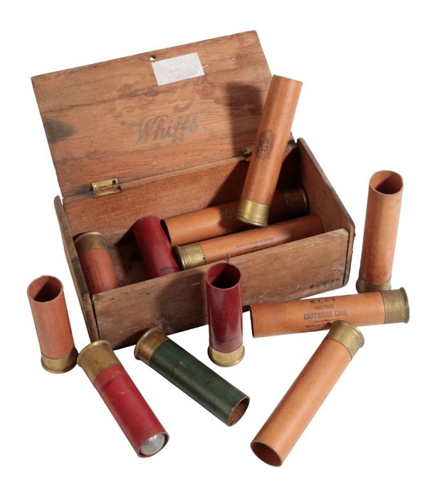 SEVEN ELEY 8 BORE NOBLE PAPER CARTRIDGE CASES,