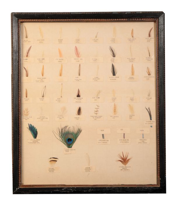 AN EDWARDIAN DISPLAY OF VARIOUS FLY-TYING FEATHERS