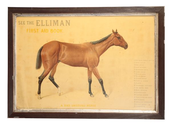 AN EDWARDIAN VETERINARY CHART OF HORSE ANATOMY