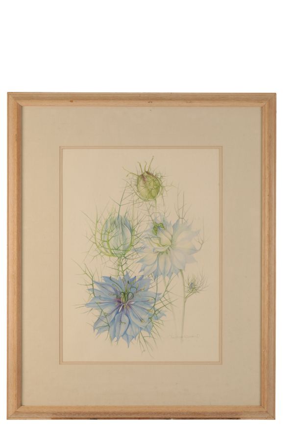 CHRISTINE WOODMAN: (Contemporary): BOTANICAL STUDY