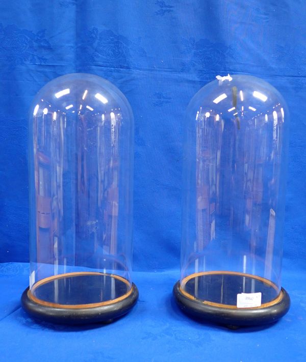 A PAIR OF GLASS DOMES