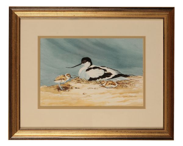 *MARGERY STEPHENSON (B. 1929) 'Avocet and young'