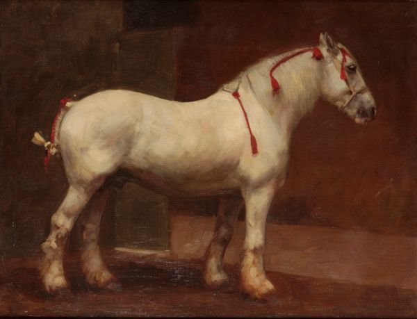 ENGLISH SCHOOL, 19TH/20TH CENTURY A grey shire horse in a stable