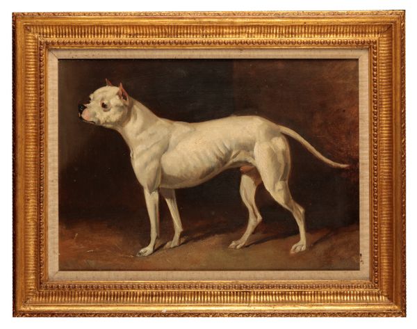 JOHN FERNELEY (1782-1860)  'Rattler - A Staffordshire Bull Terrier'