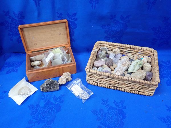 A COLLECTION OF FOSSILS & MINERAL SPECIMANS