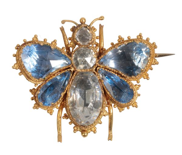 A VICTORIAN  INSECT BROOCH