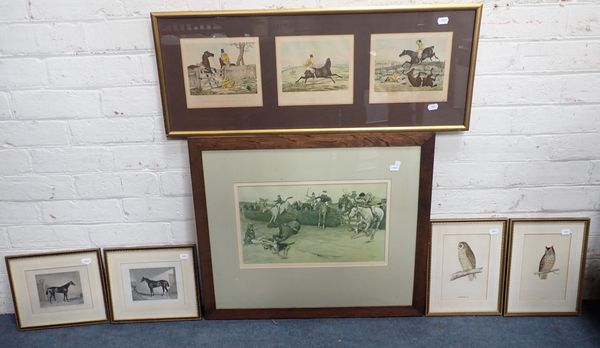 A COLLECTION OF SPORTING AND  BIRD PRINTS