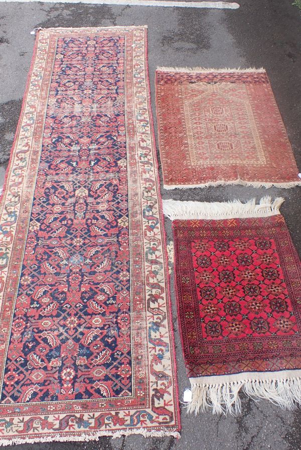 A BIDJAR RUNNER