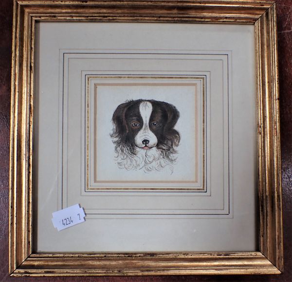 A SMALL WATERCOLOUR PORTRAIT OF A SPANIEL