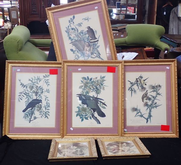 BIRD PRINTS AFTER AUDUBON (4)unsold add to line 71