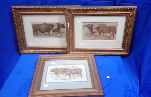 THREE 19TH CENTURY COW PRINTS IN GILT FRAMES