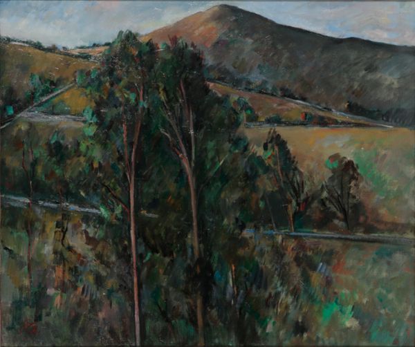 *PETER COLLIS (1929-2011) Mountainous Country Landscape