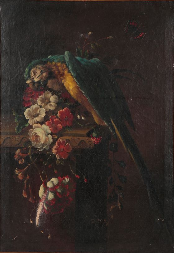 19TH CENTURY DUTCH SCHOOL, 'STILL LIFE WITH MACAW PARROT'