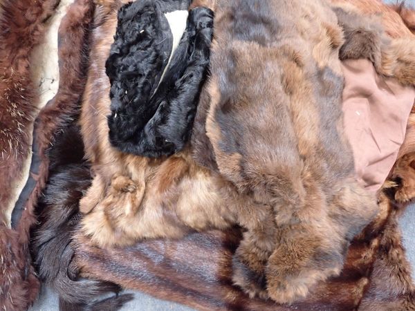 A COLLECTION OF FUR STOLES