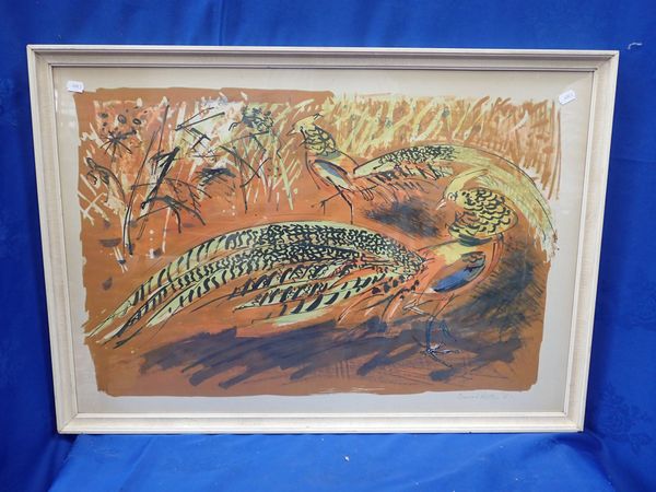 DAVID KOSTER: PHEASANTS