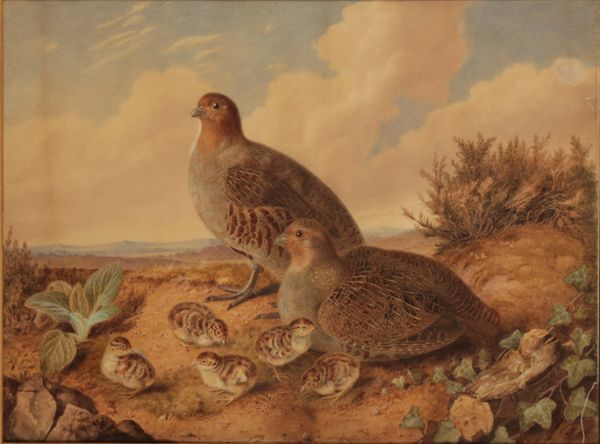AUGUSTA INNES WITHERS (1792-1877) Partridges and chicks in a landscape