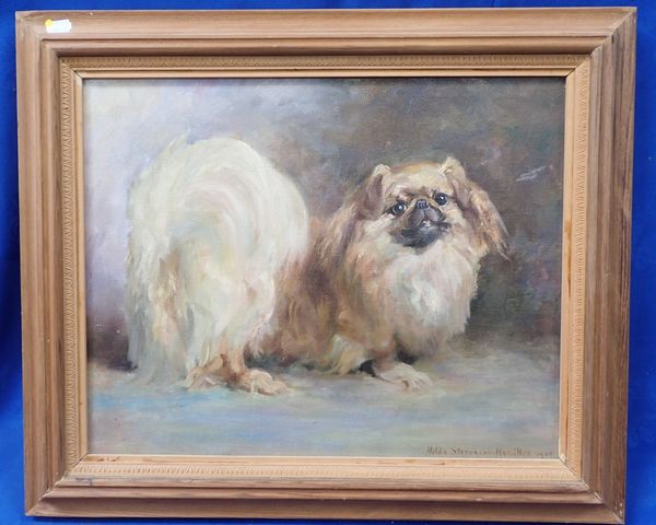 HILDA STEVENSON-HAMILTON: PEKINESE DOG PORTRAIT