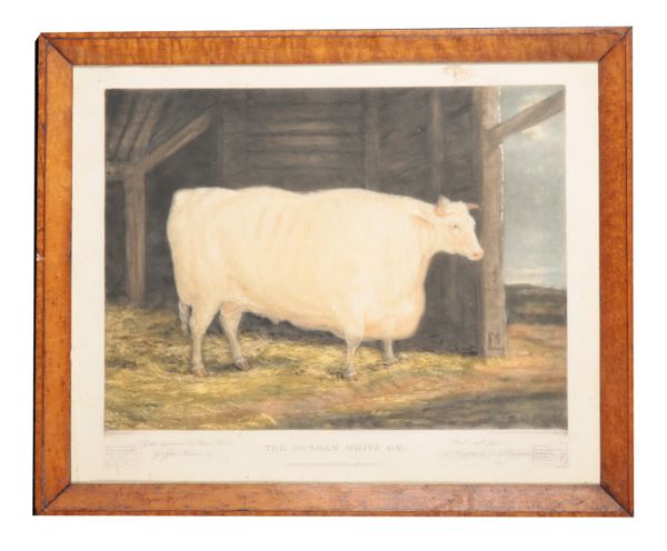 WILLIAM WARD AFTER G. GARRARD A.R.A., 'THE DURHAM WHITE OX'