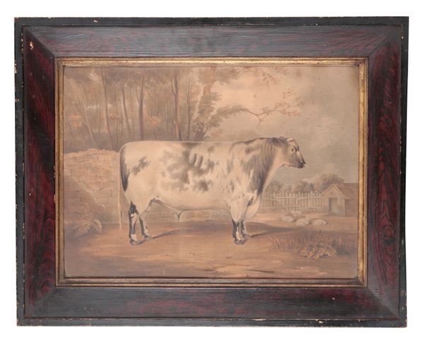 EARLY 19TH CENTURY SCHOOL, 'A PRIZE BULL'