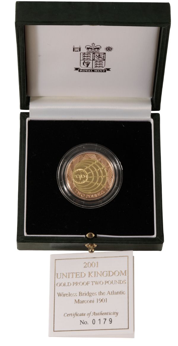 A 2001 ROYAL MINT GOLD PROOF TWO POUND COIN