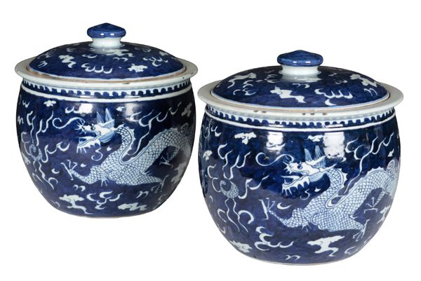 A PAIR OF CHINESE BLUE AND WHITE GINGER JARS