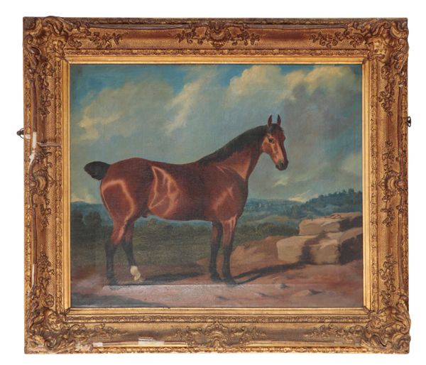 19TH CENTURY ENGLISH SCHOOL, PORTRAIT OF A STANDING BAY HUNTER