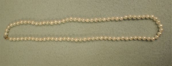 A FRESHWATER PEARL NECKLACE