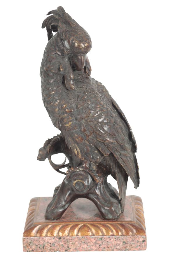 CONTINENTAL SCHOOL 20TH CENTURY, A BRONZE MODEL OF A PARROT