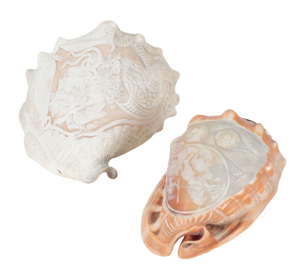 TWO CAMEO CARVED SHELLS