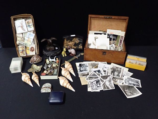 AN OAK BOX, OLD PHOTOS, CARVED SHELLS, CIGARETTE CARDS