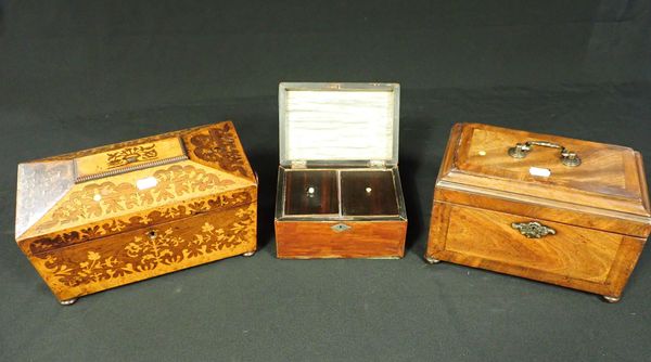 AN EARLY VICTORIAN AMBOYNA AND ROSEWOOD SARCOPHAGUS SHAPED TEA CADDY