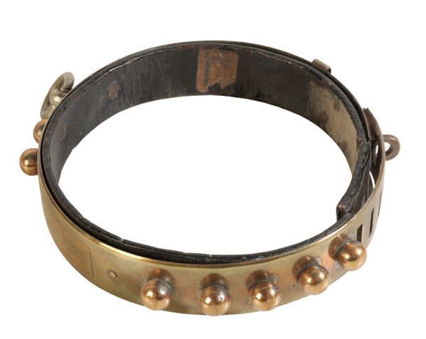 A VICTORIAN LEATHER AND BRASS STUDDED DOG COLLAR